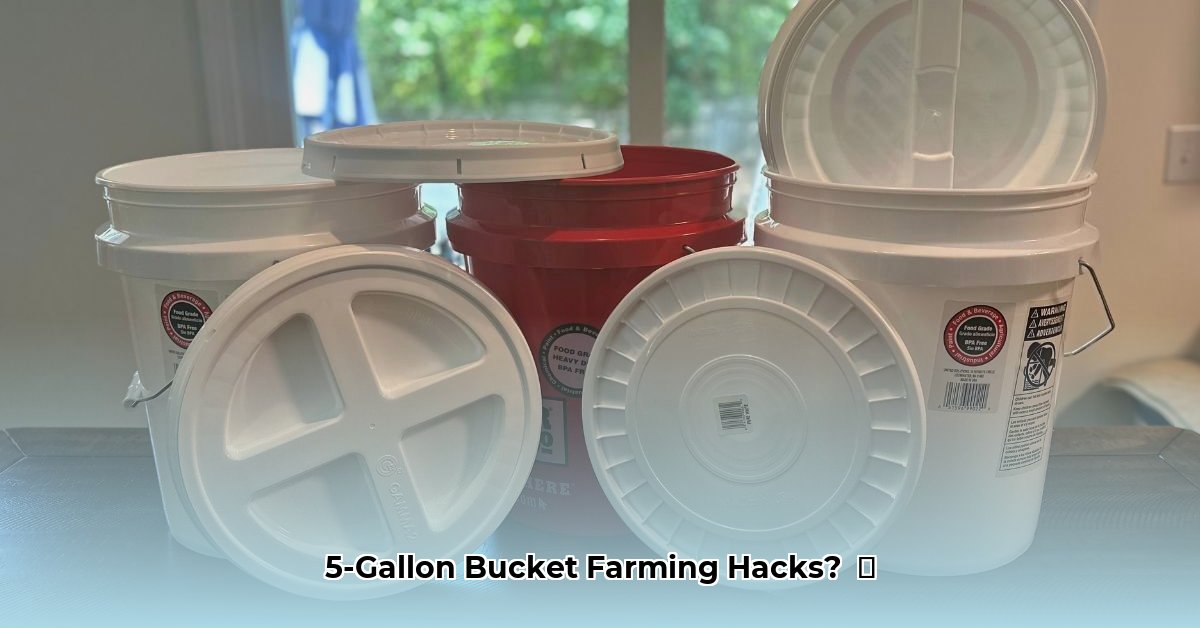 5-gallon-buckets-tractor-supply
